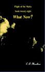 What Now? - Preview