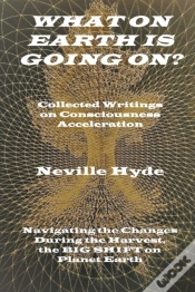 Capa do artigo What On Earth Is Going On? Collected Writings On Consciousness Acceleration
