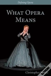 Capa do artigo What Opera Means