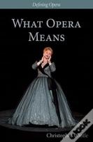 What Opera Means