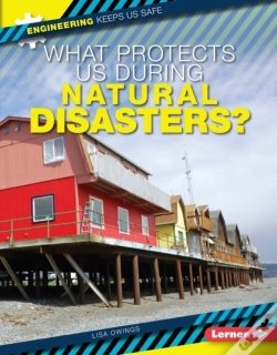Capa do artigo What Protects Us During Natural Disasters?