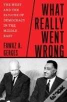 What Really Went Wrong