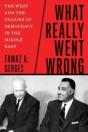 What Really Went Wrong - Preview