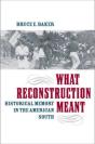 What Reconstruction Meant - Preview