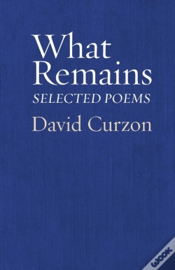 Capa do artigo What Remains: Selected Poems