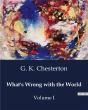 What S Wrong With The World - Volume I - Preview