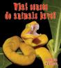 What Senses Do Animals Have - Preview
