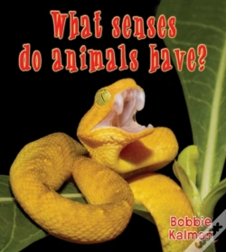 Capa do artigo What Senses Do Animals Have