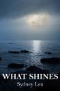 What Shines - Preview
