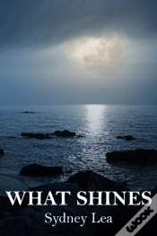 Capa do artigo What Shines