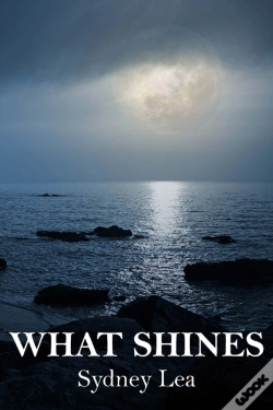 Capa do artigo What Shines