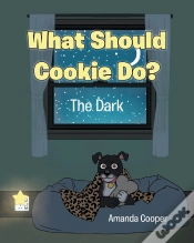 Capa do artigo What Should Cookie Do?