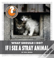 Capa do artigo What Should I Do? If I See A Stray Animal