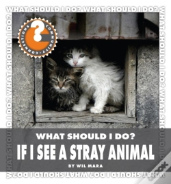 Capa do artigo What Should I Do? If I See A Stray Animal