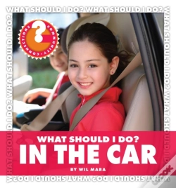 Capa do artigo What Should I Do? In The Car