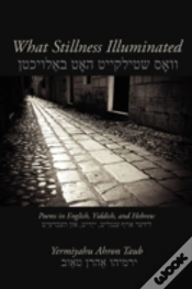 Capa do artigo What Stillness Illuminated