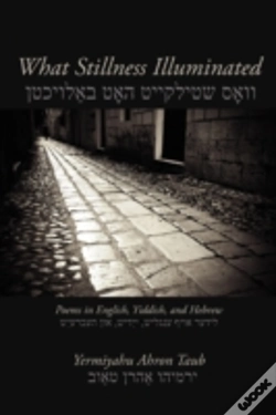 Capa do artigo What Stillness Illuminated