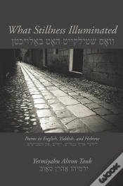 Capa do artigo What Stillness Illuminated