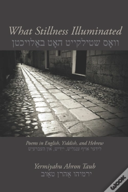 Capa do artigo What Stillness Illuminated