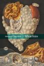 What Stirs - Preview