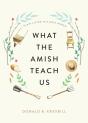 What The Amish Teach Us - Preview