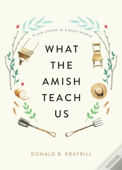 Capa do artigo What The Amish Teach Us
