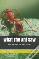 What The Ant Saw