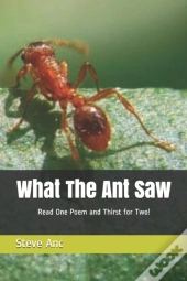 What The Ant Saw