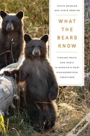 Capa do artigo What The Bears Know