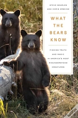 Capa do artigo What The Bears Know