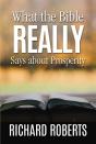What The Bible Really Says About Prosperity - Preview