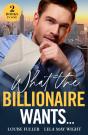 What The Billionaire Wants... - Preview
