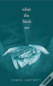 Capa do artigo What The Birds See