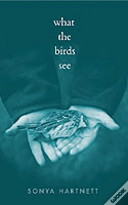 Capa do artigo What The Birds See