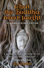 Capa do artigo What The Buddha Never Taught