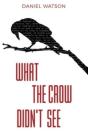 What The Crow Didn'T See - Preview