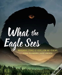 Capa do artigo What The Eagle Sees