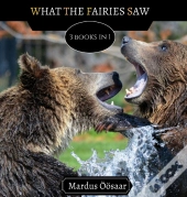 What The Fairies Saw
