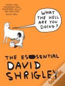 What The Hell Are You Doing?: The Essential David Shrigley