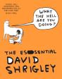 What The Hell Are You Doing?: The Essential David Shrigley - Preview