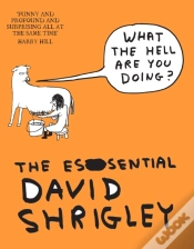 Capa do artigo What The Hell Are You Doing?: The Essential David Shrigley