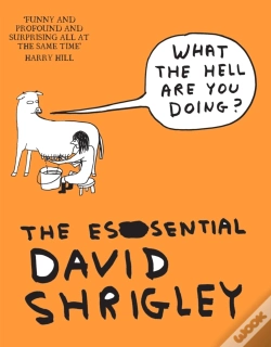 Capa do artigo What The Hell Are You Doing?: The Essential David Shrigley