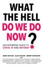 What The Hell Do We Do Now : An Enterpri - Preview