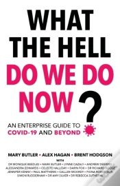 Capa do artigo What The Hell Do We Do Now : An Enterpri