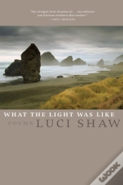 Capa do artigo What The Light Was Like