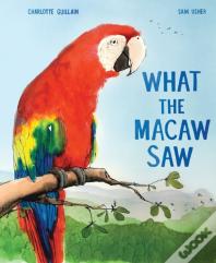 What The Macaw Saw