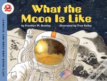 What The Moon Is Like