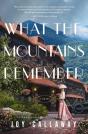 What The Mountains Remember - Preview