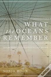 Capa do artigo What The Oceans Remember