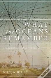Capa do artigo What The Oceans Remember